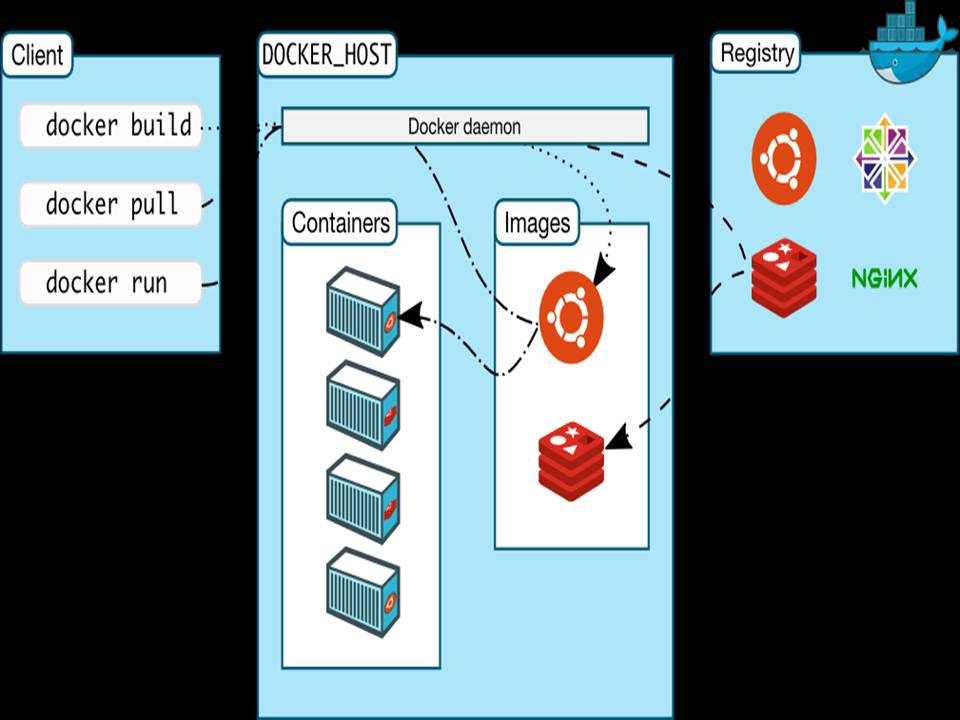 Essential Guide To Software Containers In Docker Architecture