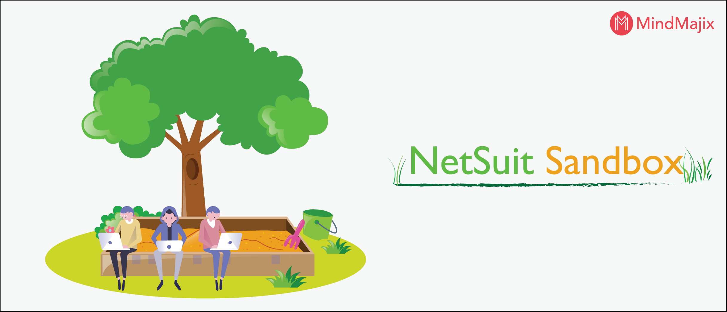 What Is NetSuite Sandbox Learn Netsuite Sandbox Accounts