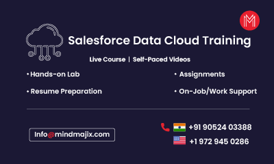 Salesforce Data Cloud Training
